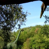 0309F 35 Freizeitpark Sottrum5